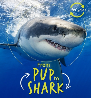 From Pup to Shark 0711243638 Book Cover