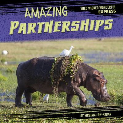 Amazing Partnerships 1668920743 Book Cover