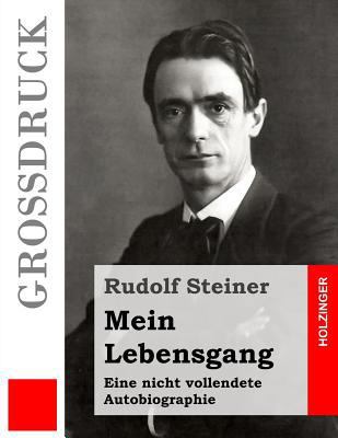 Mein Lebensgang (Großdruck): Eine nicht vollend... [German] 1532772084 Book Cover