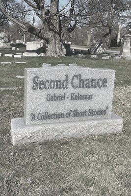 Second Chance: And Other Ventures Through Escapism B0CZCGTDMG Book Cover