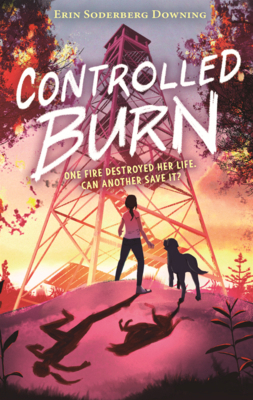Controlled Burn B0GMZ2KMFV Book Cover