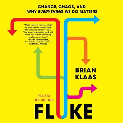 Fluke: Chance, Chaos, and Why Everything We Do ... 1797172344 Book Cover