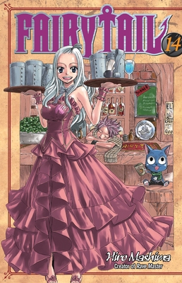 Fairy Tail V14 1935429337 Book Cover