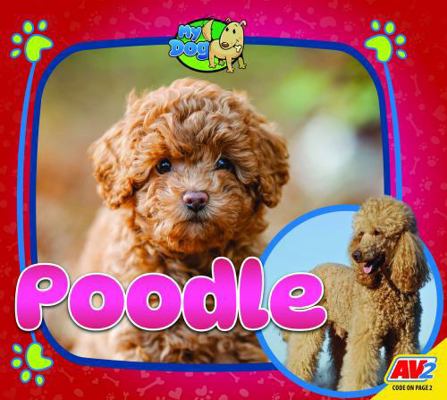 Poodle B0DGM8D3VY Book Cover