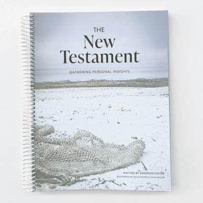 Paperback New Testament : Gather Personal Insights Book