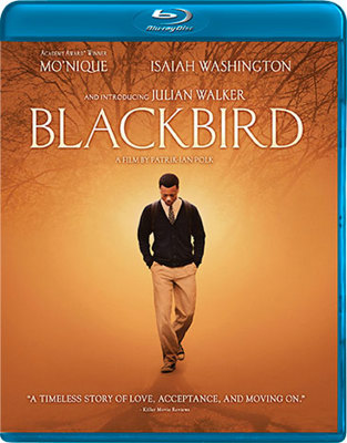 Blackbird            Book Cover