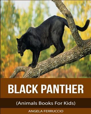 Black Panthers (Animals Books For Kids) 1978435681 Book Cover
