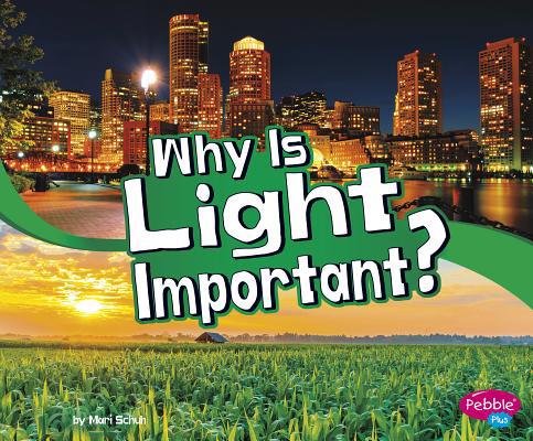 Why Is Light Important? 1977110398 Book Cover