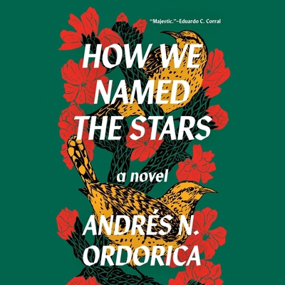 How We Named the Stars B0CZCDFVJB Book Cover