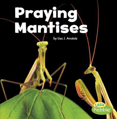 Praying Mantises 1515778258 Book Cover