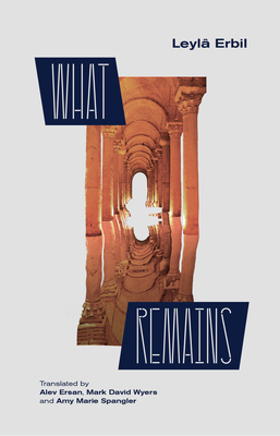 What Remains 1646051173 Book Cover