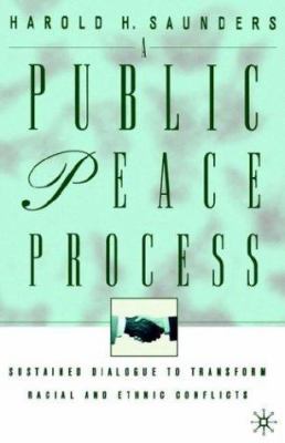 A Public Peace Process: Sustained Dialogue to T... 0312293380 Book Cover