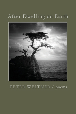 After Dwelling on Earth B0H1H6D7CR Book Cover