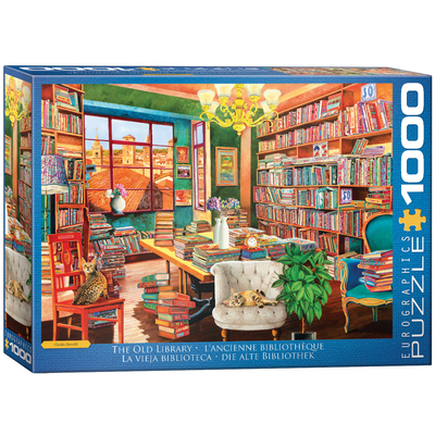 The Old Library by Guido Boerlli            Book Cover