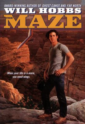 The Maze (Avon Camelot Books) 0613195248 Book Cover