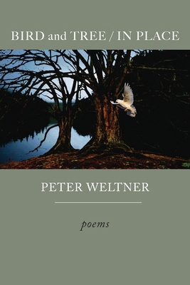 BIRD and TREE / IN PLACE 0578718596 Book Cover