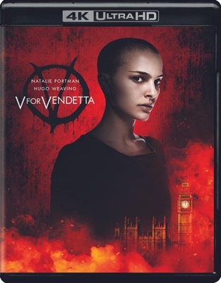V for Vendetta            Book Cover