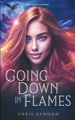 Going Down in Flames 1622667484 Book Cover