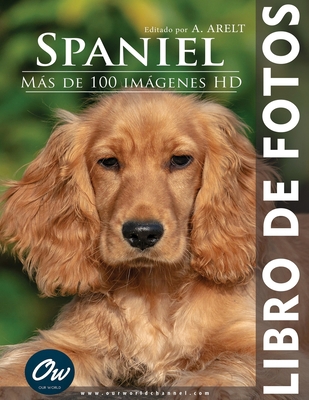 Spaniel: Libro de fotos - Más de 100 imágenes HD [Spanish] B0DBTVFMJB Book Cover