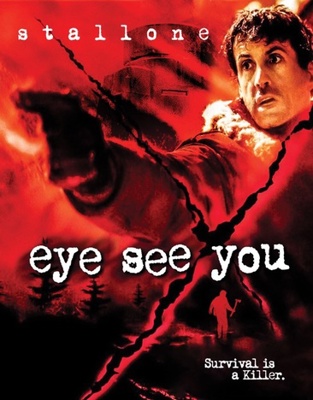 Eye See You            Book Cover