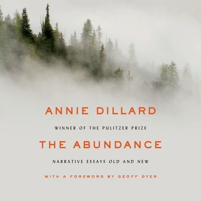 The Abundance: Narrative Essays Old and New 1665096241 Book Cover