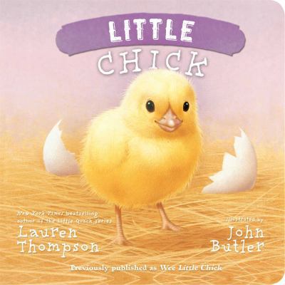Little Chick 1442493119 Book Cover