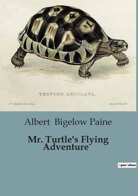 Mr. Turtle's Flying Adventure B0CGMSQNQW Book Cover