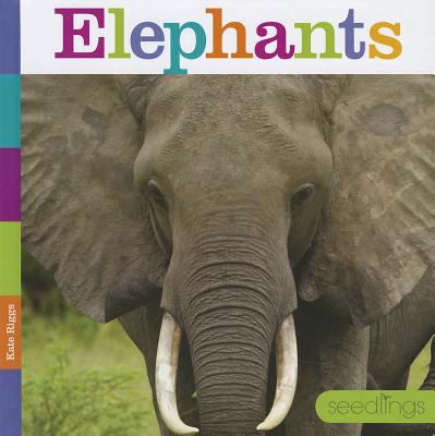 Elephants 1608182754 Book Cover