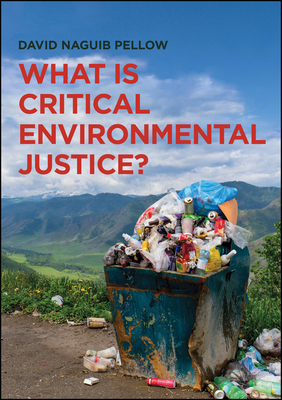 What Is Critical Environmental Justice? 0745679382 Book Cover
