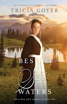 Beside Still Waters: A Big Sky Novel 1718759061 Book Cover