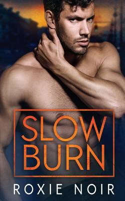 Slow Burn 1546903925 Book Cover