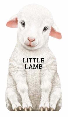 Little Lamb B00A2PRUTM Book Cover