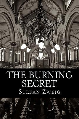 The Burning Secret 1540506983 Book Cover