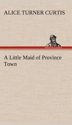 A Little Maid of Province Town 3849196348 Book Cover