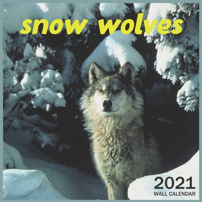 Paperback snow wolves: 2021 Wall & Office Calendar, 12 Month Calendar Book