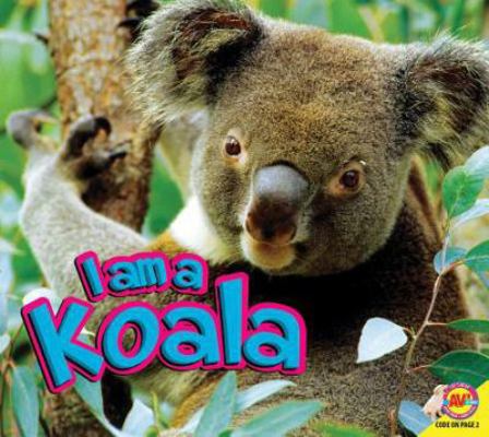 I Am a Koala 1489641149 Book Cover