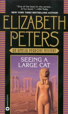 Seeing a Large Cat B0072Q237S Book Cover