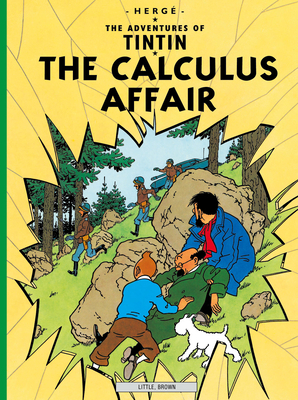 The Calculus Affair 0316358479 Book Cover