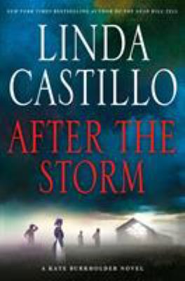 After the Storm 1250061563 Book Cover