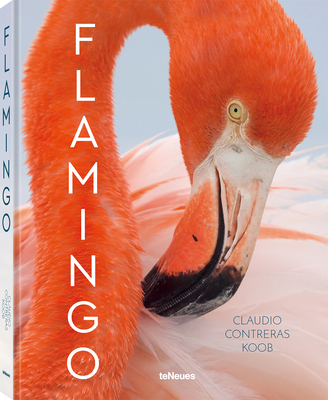 Flamingo 3961713871 Book Cover