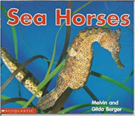 Sea Horses 0439473926 Book Cover