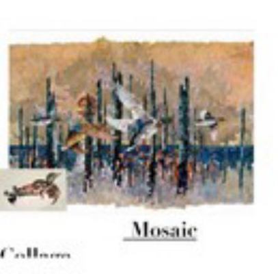 Paperback Mosaic Collage Book