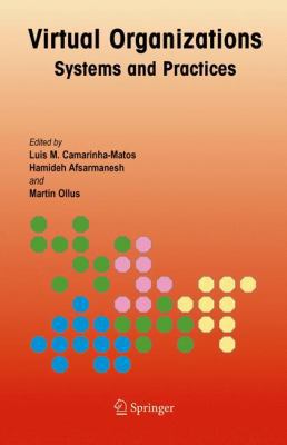 Virtual Organizations: Systems and Practices 1441936572 Book Cover