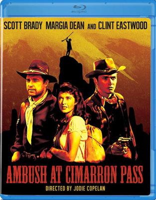 Ambush At Cimarron Pass            Book Cover