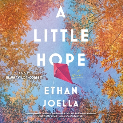 A Little Hope 1797138049 Book Cover