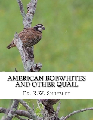 American Bobwhites and Other Quail 1979108951 Book Cover