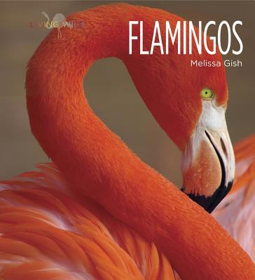 Living Wild: Flamingos 1628320028 Book Cover