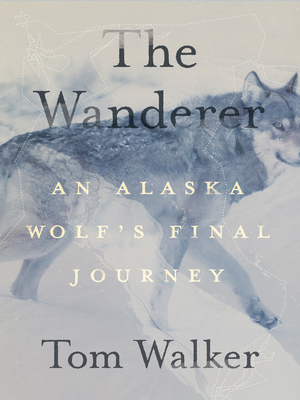 The Wanderer: An Alaska Wolf's Final Journey 1680516132 Book Cover