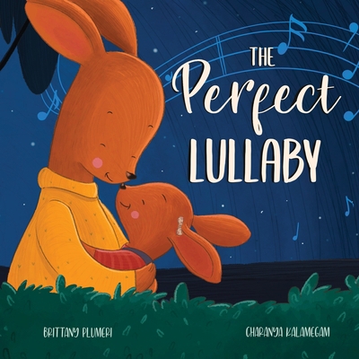 The Perfect Lullaby 1734657391 Book Cover