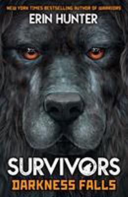 Survivors Book 3: Darkness Falls 1787006662 Book Cover